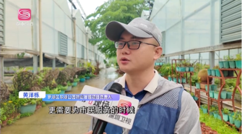 图片8