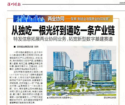 图片11