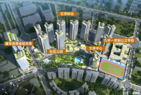 1782100414739 图片15